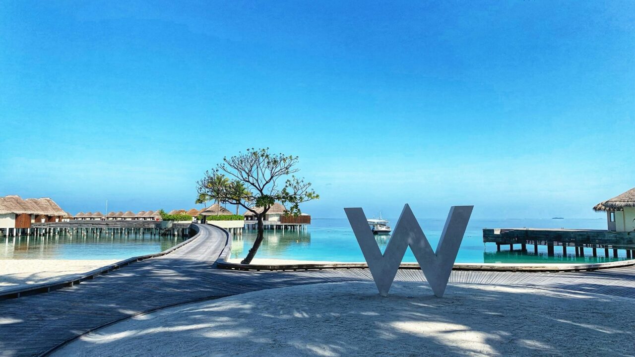 palm tree near body of water during daytime